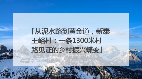 从泥水路到黄金道，新泰王峪村：一条1300米村路见证的乡村振兴蝶变