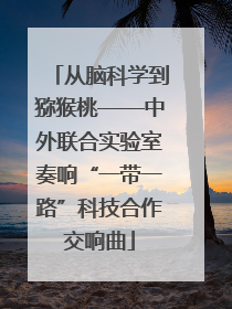 从脑科学到猕猴桃——中外联合实验室奏响“一带一路”科技合作交响曲