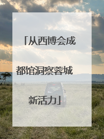 从西博会成都馆洞察蓉城新活力