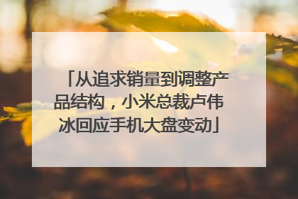 从追求销量到调整产品结构，小米总裁卢伟冰回应手机大盘变动
