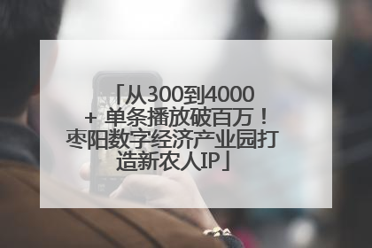 从300到4000+ 单条播放破百万！枣阳数字经济产业园打造新农人IP