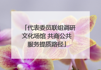 代表委员联组调研文化场馆 共商公共服务提质路径