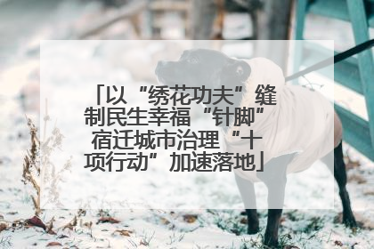 以“绣花功夫”缝制民生幸福“针脚” 宿迁城市治理“十项行动”加速落地