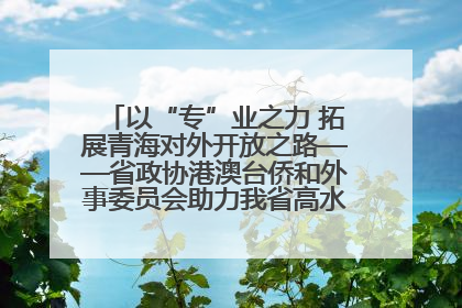 以“专”业之力 拓展青海对外开放之路——省政协港澳台侨和外事委员会助力我省高水平开放和高质量发展