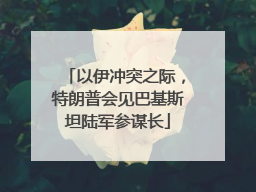以伊冲突之际，特朗普会见巴基斯坦陆军参谋长