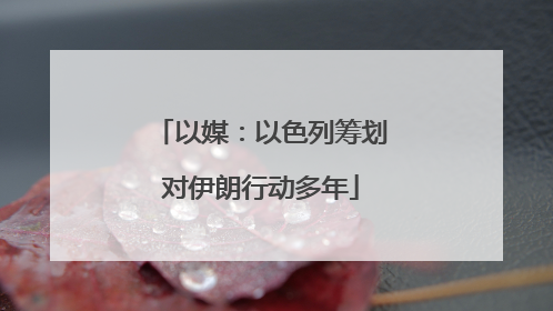 以媒：以色列筹划对伊朗行动多年