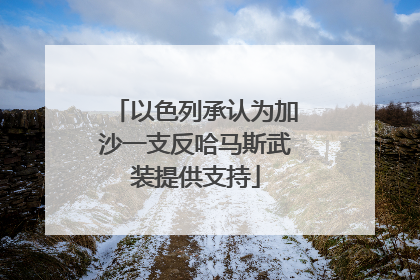 以色列承认为加沙一支反哈马斯武装提供支持