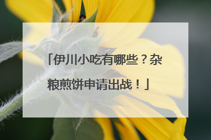 伊川小吃有哪些？杂粮煎饼申请出战！