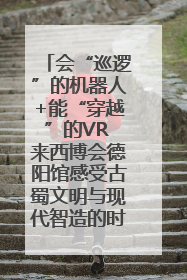 会“巡逻”的机器人+能“穿越”的VR 来西博会德阳馆感受古蜀文明与现代智造的时空对话｜西博视界