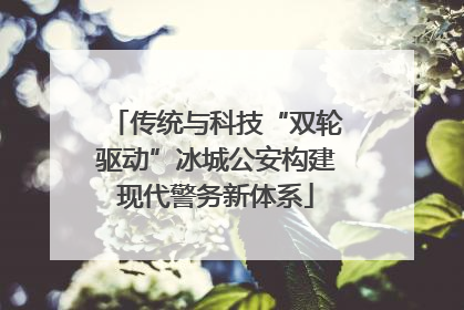 传统与科技“双轮驱动”冰城公安构建现代警务新体系
