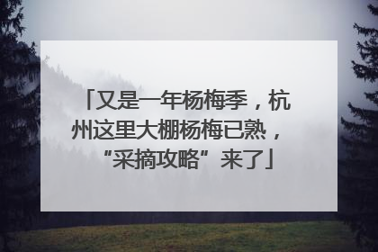 又是一年杨梅季，杭州这里大棚杨梅已熟，“采摘攻略”来了