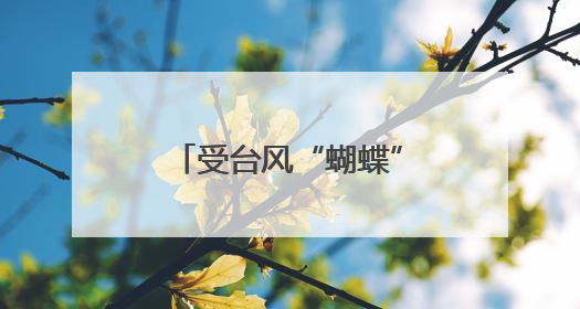 受台风“蝴蝶”影响 G361陵昌线鹦哥岭路段实行临时交通管制