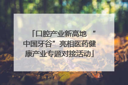 口腔产业新高地 “中国牙谷”亮相医药健康产业专题对接活动