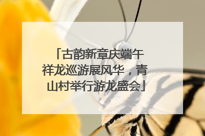 古韵新章庆端午 祥龙巡游展风华，青山村举行游龙盛会