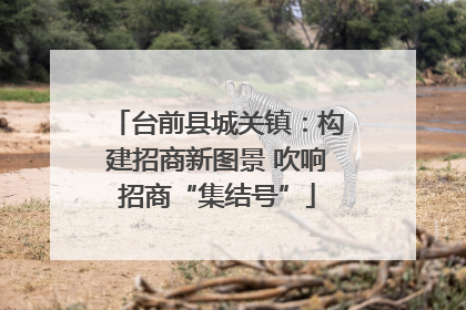 台前县城关镇：构建招商新图景 吹响招商“集结号”