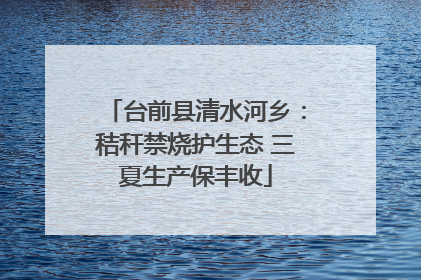 台前县清水河乡：秸秆禁烧护生态 三夏生产保丰收