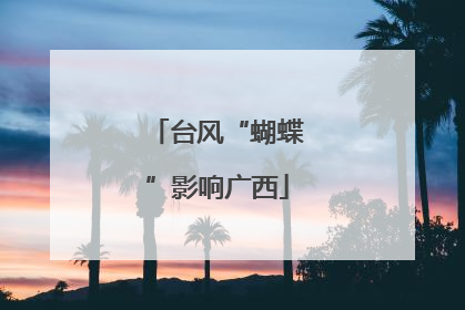 台风“蝴蝶”影响广西