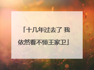 十几年过去了 我依然看不懂王家卫