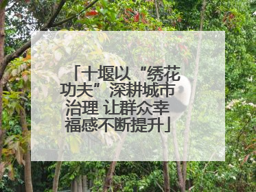 十堰以“绣花功夫”深耕城市治理 让群众幸福感不断提升