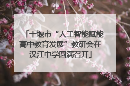 十堰市“人工智能赋能高中教育发展”教研会在汉江中学圆满召开