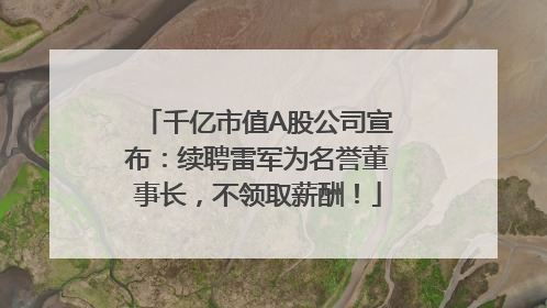 千亿市值A股公司宣布：续聘雷军为名誉董事长，不领取薪酬！