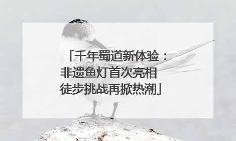 千年蜀道新体验：非遗鱼灯首次亮相 徒步挑战再掀热潮