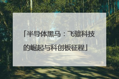 半导体黑马：飞骧科技的崛起与科创板征程