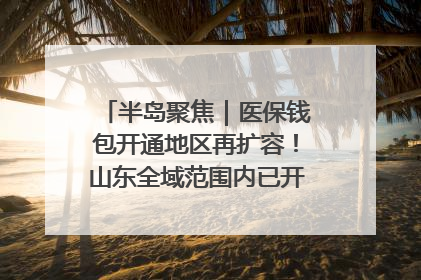 半岛聚焦｜医保钱包开通地区再扩容！山东全域范围内已开通，有何用处？如何操作？速戳→