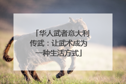 华人武者意大利传武：让武术成为一种生活方式