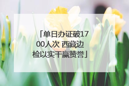 单日办证破1700人次 西藏边检以实干赢赞誉