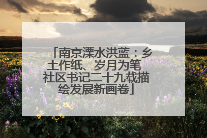 南京溧水洪蓝：乡土作纸、岁月为笔 社区书记二十九载描绘发展新画卷