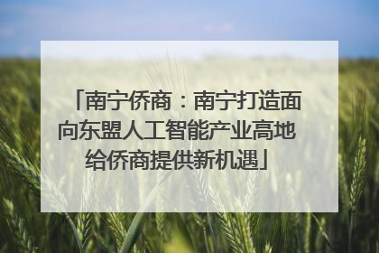 南宁侨商：南宁打造面向东盟人工智能产业高地给侨商提供新机遇
