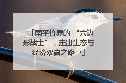 南平竹界的 “六边形战士”，走出生态与经济双赢之路→
