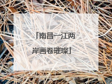 南昌一江两岸画卷璀璨
