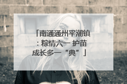南通通州平潮镇：粽情六一 护苗成长多一“典”