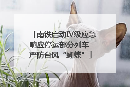 南铁启动Ⅳ级应急响应停运部分列车 严防台风“蝴蝶”