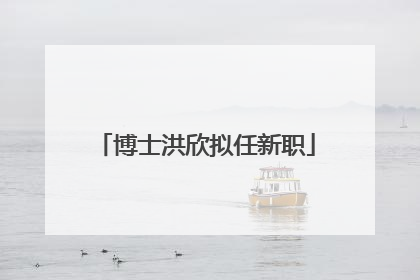 博士洪欣拟任新职