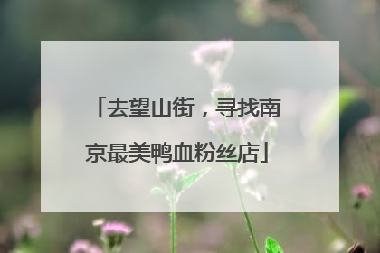 去望山街，寻找南京最美鸭血粉丝店