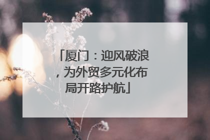 厦门：迎风破浪，为外贸多元化布局开路护航