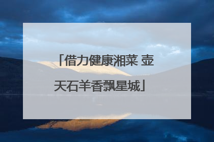 借力健康湘菜 壶天石羊香飘星城