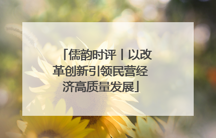 儒韵时评丨以改革创新引领民营经济高质量发展