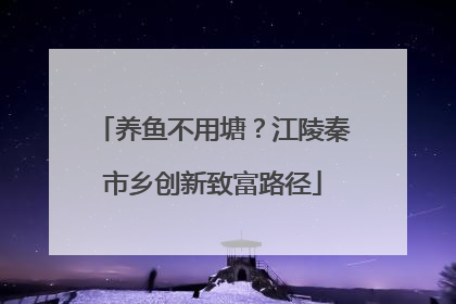 养鱼不用塘？江陵秦市乡创新致富路径