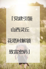 党建引领 山西灵丘花塔村解锁致富密码