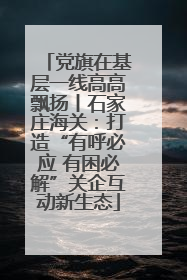 党旗在基层一线高高飘扬丨石家庄海关：打造“有呼必应 有困必解”关企互动新生态
