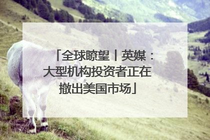 全球瞭望丨英媒：大型机构投资者正在撤出美国市场