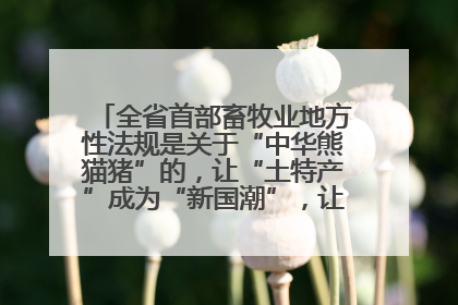 全省首部畜牧业地方性法规是关于“中华熊猫猪”的，让“土特产”成为“新国潮”，让“农产品”升格为“城市IP”