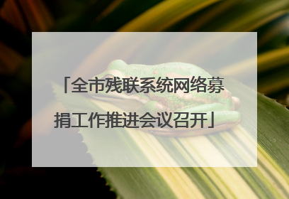 全市残联系统网络募捐工作推进会议召开