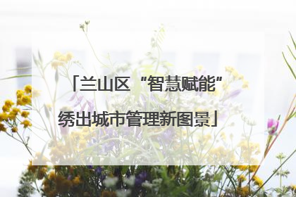 兰山区“智慧赋能”绣出城市管理新图景