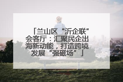 兰山区“沂企联”会客厅：汇聚民企出海新动能，打造跨境发展“强磁场”