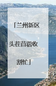 兰州新区头茬苜蓿收割忙